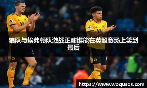 狼队与埃弗顿队激战正酣谁能在英超赛场上笑到最后